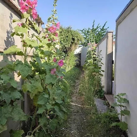Petite Maison Chaleureuse Avec Terrasse - 2etoiles * Rochefort (Charente-Maritime)