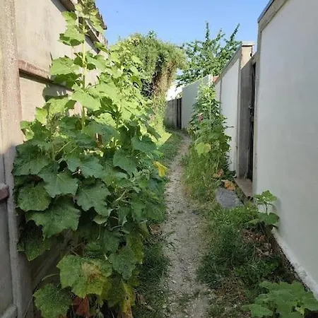 Petite Maison Chaleureuse Avec Terrasse - 2etoiles